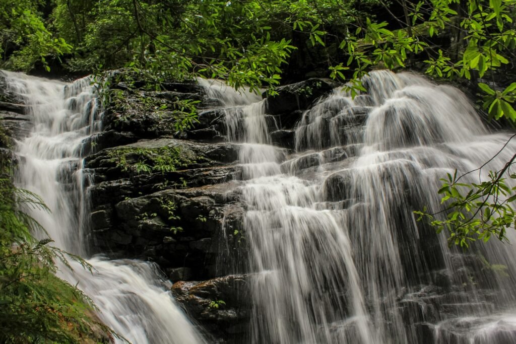 Cascading rainforest waterfall